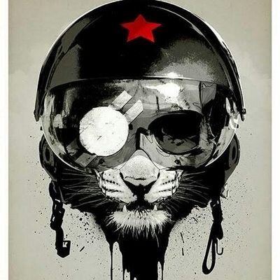 GIBV007's profile picture. 