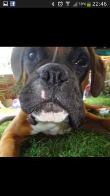 SleepyCaro's profile picture. 