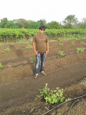 s_prafulla's profile picture. 