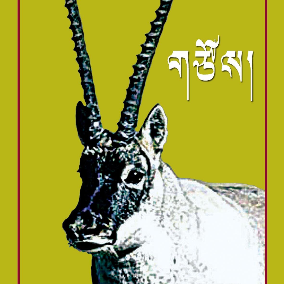 出生在一个半农半牧村，放羊，放牛，上学，出国。