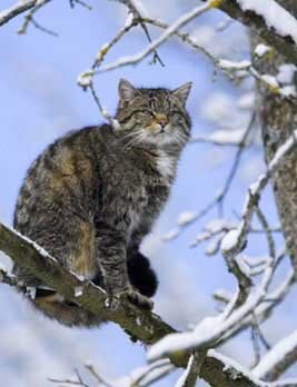 adamova00055's profile picture. Люблю сладости и бегать