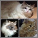 Dionne Sanchez - @dionne_sanchez - Twitter