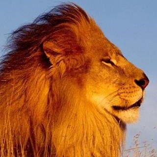 derickcchd's profile picture. 