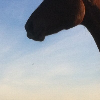 iamtonycantwell's profile picture. 