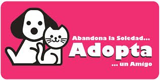 patitastucuman's profile picture. estudiante del nivel inicial, amante de los animales,....NO compre, ADOPTA!!