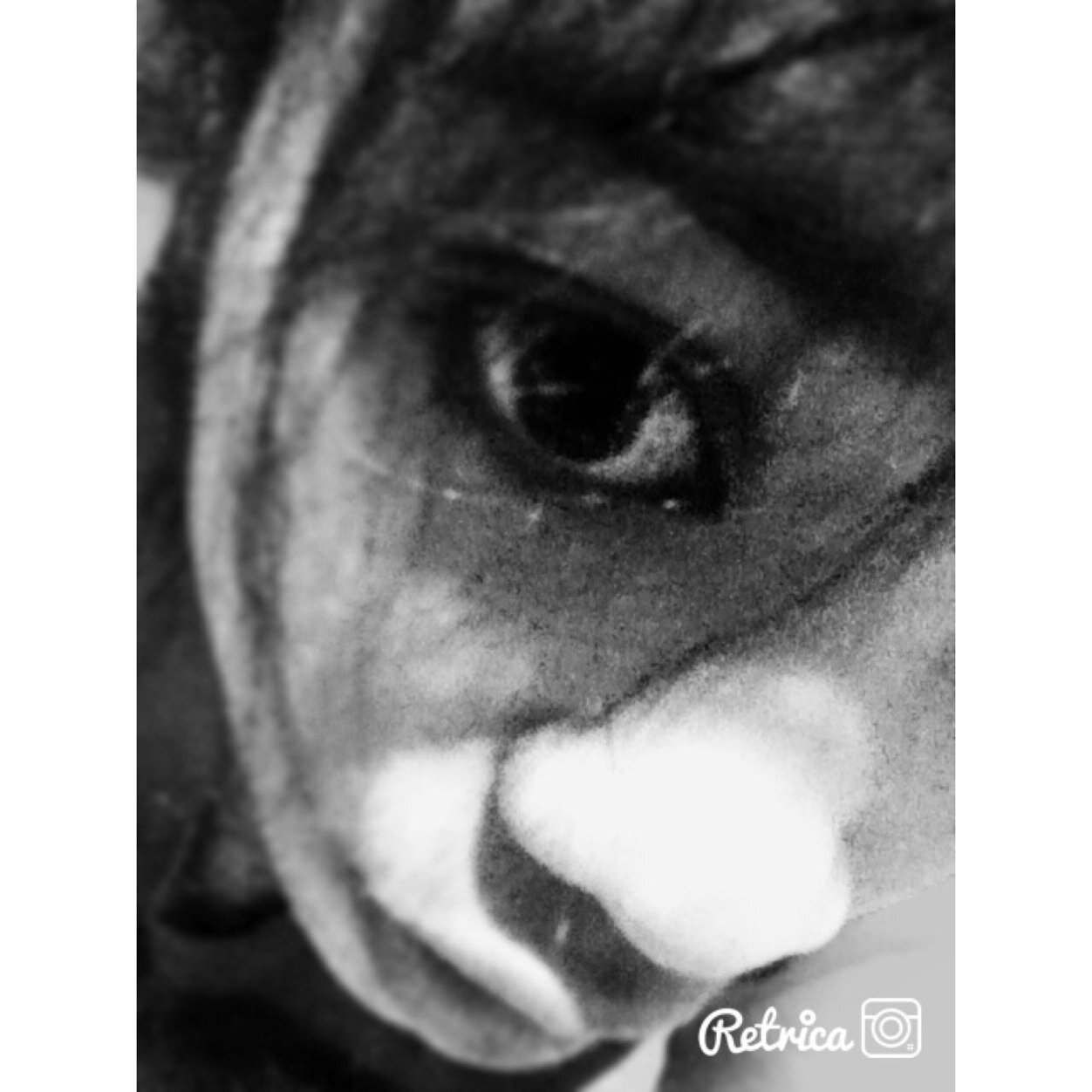 사랑해 엑소!!!!! Kpop is my Inspiration3 .. Dont wish for it , WORK FOR IT 3 3 ..
