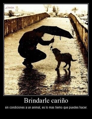 sln2218's profile picture. 