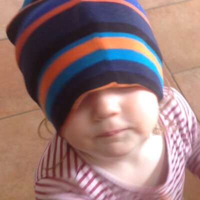 « Moins l'intelligence adhère au réel, plus elle rêve de révolution.