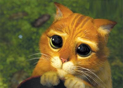 Ma maman ma toujours dit de RT les tweets ou HT de @_Cyranus