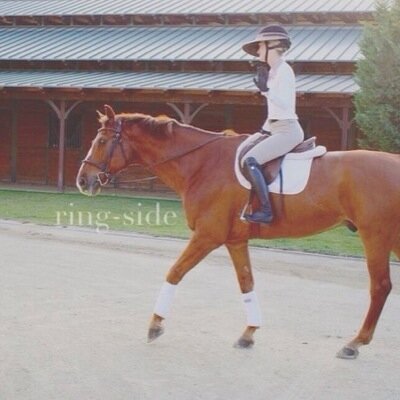 Here to judge all the basics and keep bobos in their place. You probably know us but we won't tell. In the saddle.