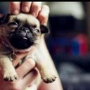 Sally - @Sally_luci - Twitter