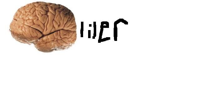 Beyinliler
