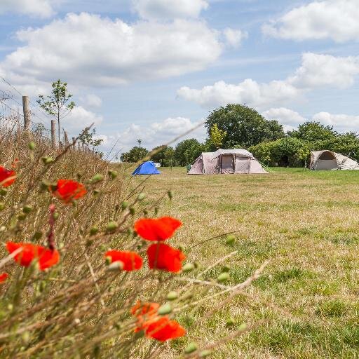 A new development of 6 holiday lodges plus adjoining campsite with showerblock nestled in rolling countryside beside the Mid Hants steam Railwayline.