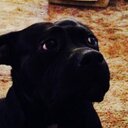 jackie zimmerman - @jackiez5384 - Twitter