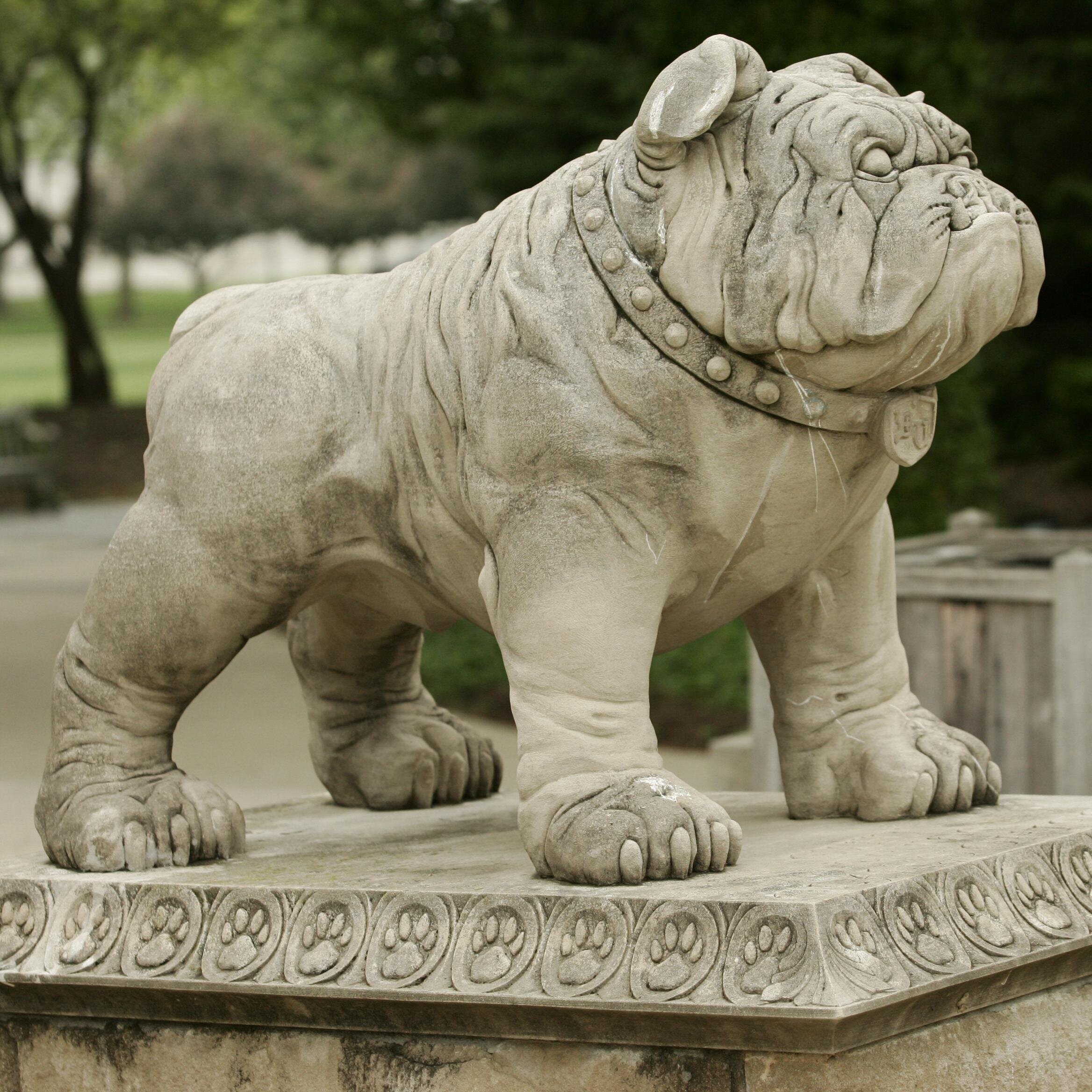 ButlerResLife's profile picture. Department under Student Affairs at Butler, we oversee the on campus housing options: Ross, Schwitzer, ResCo, UT, BT, CTS apartments and the Village.