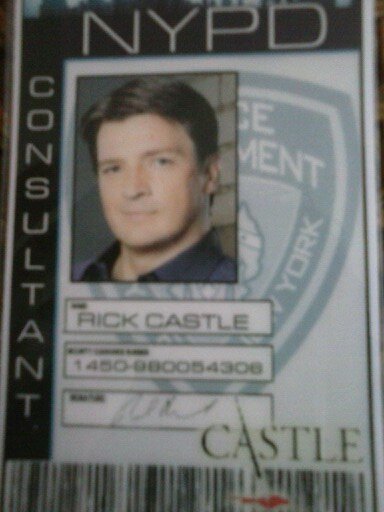 Hi I am Richard Castle Writer of Mystery Novels and I Work with the NYPD as a Consultant on their cases. I live with my mother Martha and my Daughter Alexis