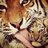 DanZogs's profile image