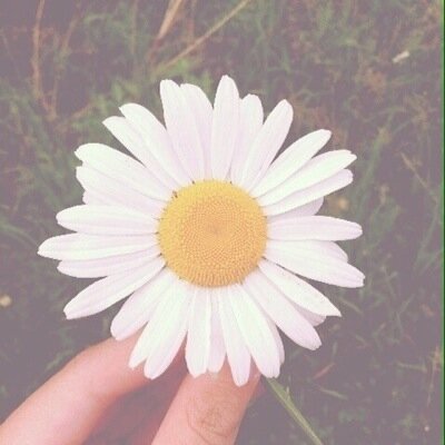 //Directioner,Mixer and Magcon Family//Paola,Eleanor,Perrie And Stephany//Directioner,Mixer And Magcon Family 4 EVER//Online Together//I Love you Niall//Narry//