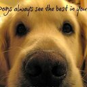 Paul Lambrides - @PHG8RMAN - Twitter