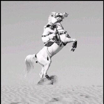 hamaddajran's profile picture. 