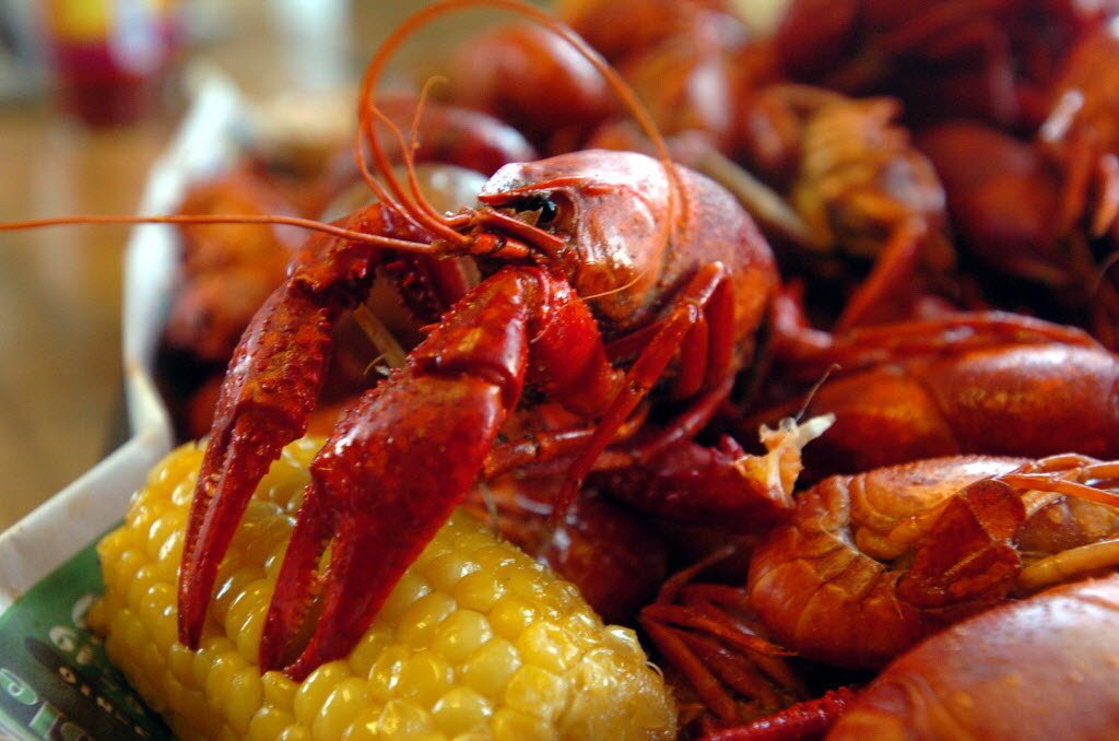 CajunNewport's profile picture. Back by popular demand, the Ragin' Cajuns are taking over the Newport Bar & Grill on July 26th for Chicago's season finale of Crawfish Boils!