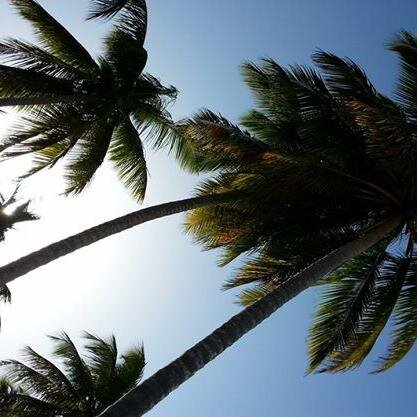 Ullis_Buchkiste's profile picture. Autorin von Kurzgeschichten und Bücher die das Leben schreibt.