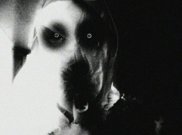 Clockwork_kiler's profile picture. 