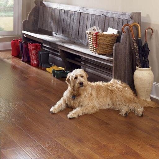 Jeter S Carpet Jeterscarpet تويتر Jeter S Carpet