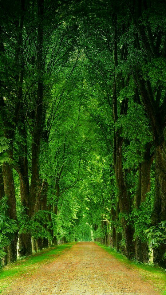 Life is adventure..