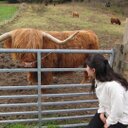 Bee Cheng - @BeeChengKhoo - Twitter