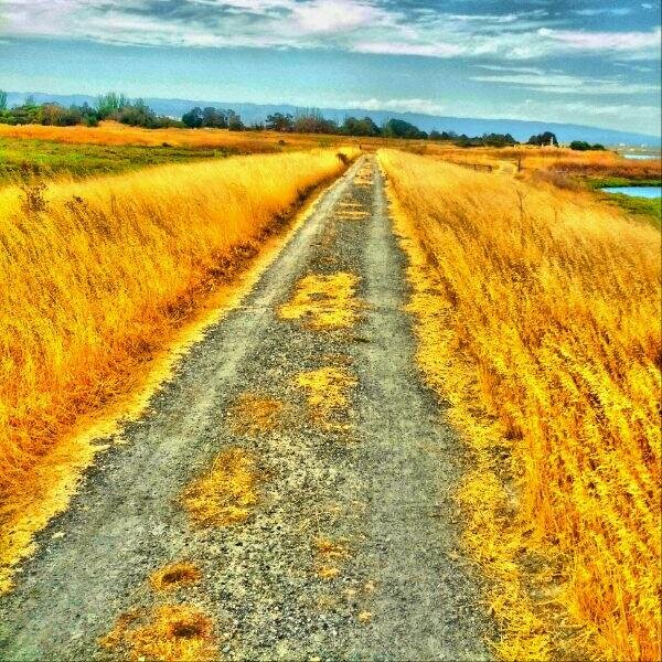 edknighted's profile picture. Gadgets for life | Technology Kingdom