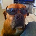 Maureen Wright - @maureenwright32 - Twitter