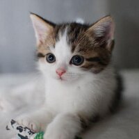 masaki☆ (@masakio_o) 's Twitter Profile