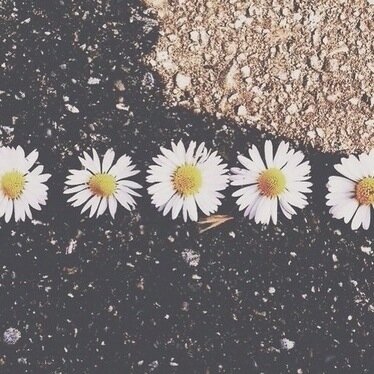 Follow @noideastyles bc she believes in you, she knows you will get your sunshine/5 sunshine/4