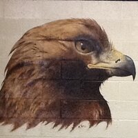 Mercer County HS (@mchsgoldeneagle) 's Twitter Profile