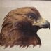 Mercer County HS (@mchsgoldeneagle) Twitter profile photo