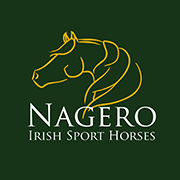 Buy an Irish Sport Horse on-line, delivered  and with a 100% guarantee of satisfaction. Horses open to vetting and honestly described.
https://t.co/AyPIio55Xz