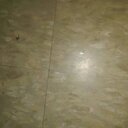 Crystal Castaneda - @Castanedac12 - Twitter