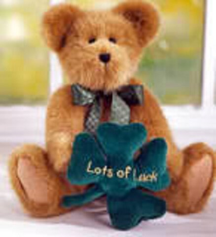 teddibear2577's profile picture. I am a sweeper.