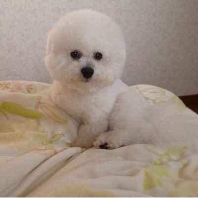 早稲田大学
Twitter始めたばかりですよろしくお願いします。