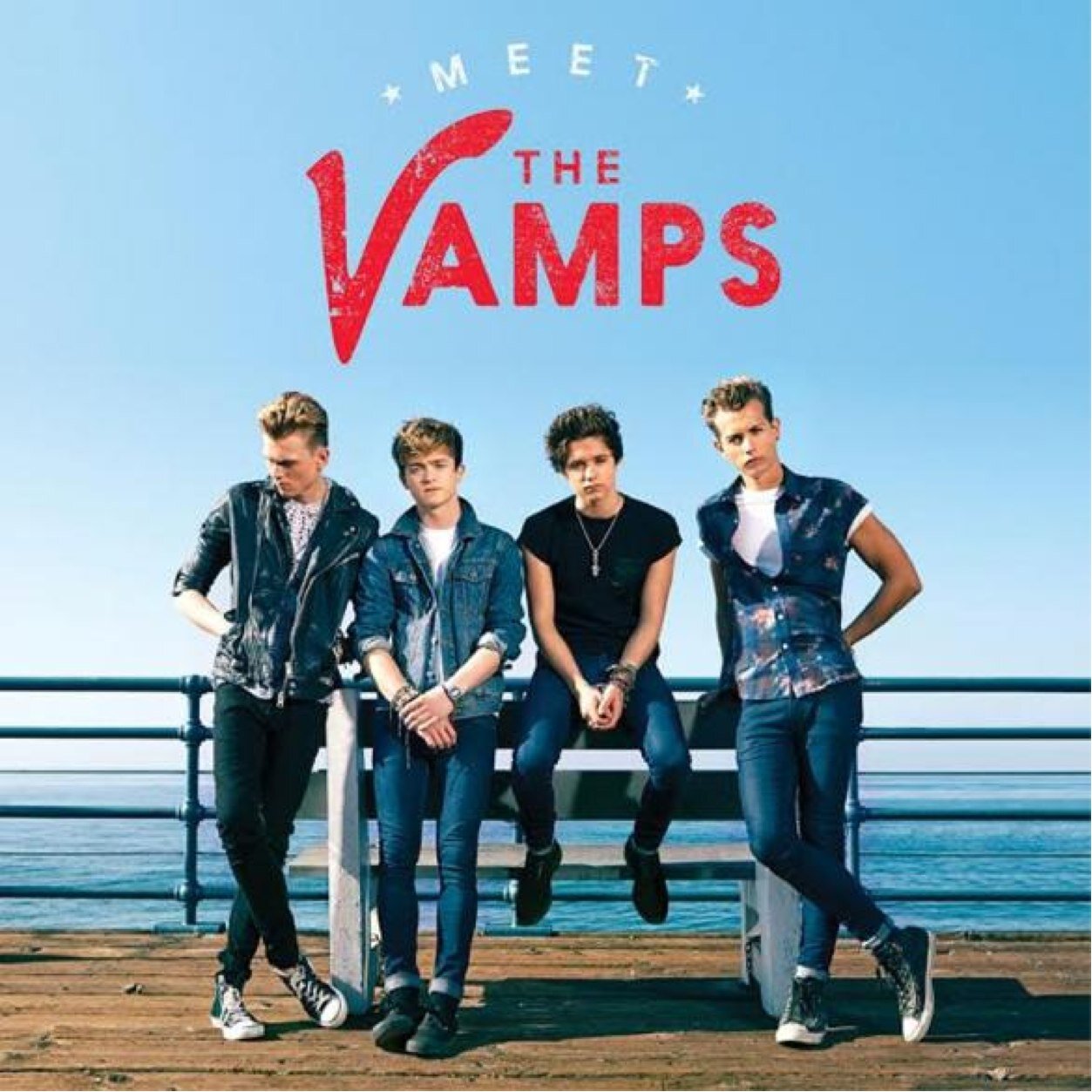 3 best friends. 2 dogs. Mcbusted/Mcfly. The Vamps