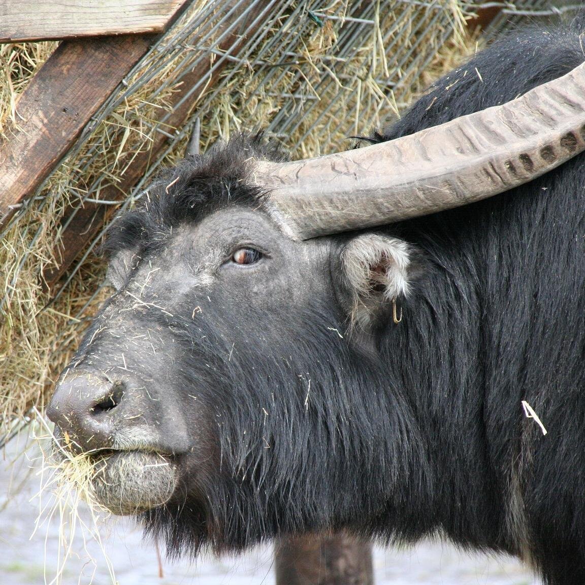 Piero1591's profile picture. Enjoy life, family time, holidays, like things to be right decent & fair. Respectful to those who deserve it. I say what others think. Performance targets suck