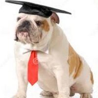 BSSD Counseling (@bshsfuture) 's Twitter Profile