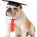 BSSD Counseling (@bshsfuture) Twitter profile photo BSSD Counseling (@bshsfuture) Twitter profile photo