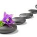 Wellnesscirkle (@wellnesscirkle) Twitter profile photo Wellnesscirkle (@wellnesscirkle) Twitter profile photo