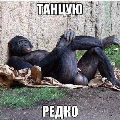 Беда не втом что в России 5% геев, а втом что 95% ПИДОРАСЫ...