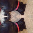 Aaron Eckert - @Striker_2700 - Twitter