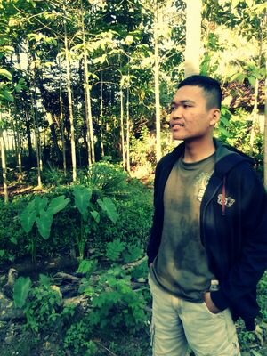Indonesia seaferer. engineer class IV