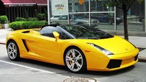 Business owner,Forex trader,Online marketer