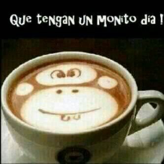 is_raton's profile picture. 